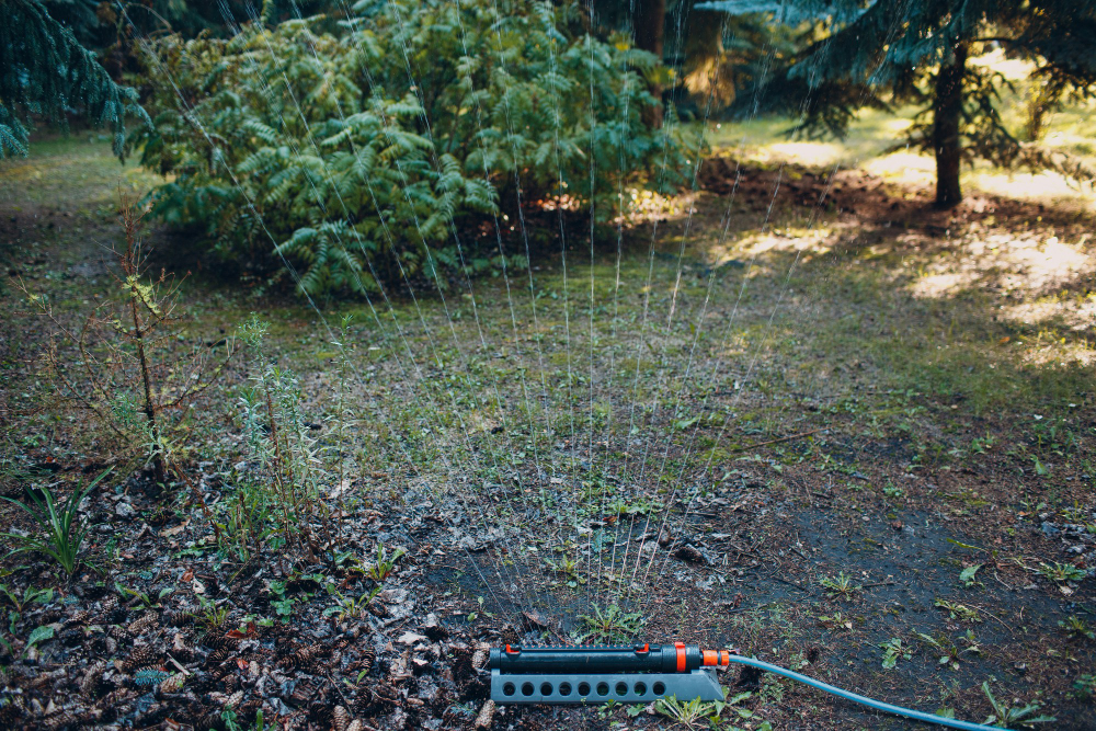 Kaip įsirengti automatizuotą laistymo sistemą sode?